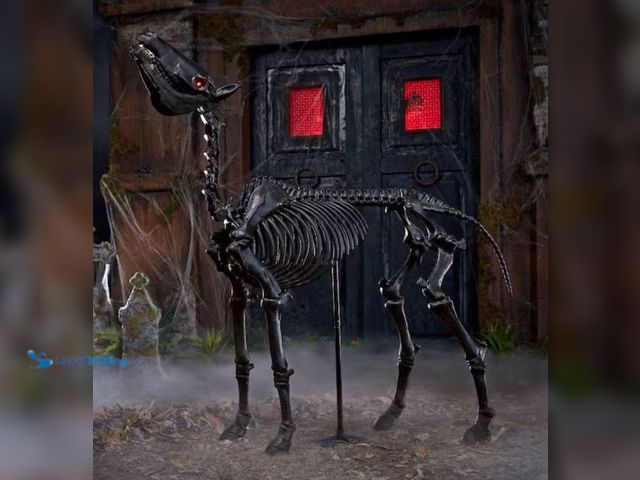 Lot 49-1631271 - Home Accents Holiday 5.5 FT Grave & Bones LED Skeleton Pony, Model # 24PA02346, Unused.  Ref#BIN0625