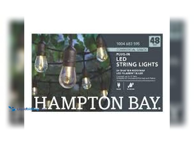 Lot 49-5407602 - Hampton Bay 24-Light 48 ft. Plug-in Indoor/Outdoor Edison Patio String Light with S14 Single Filamen...