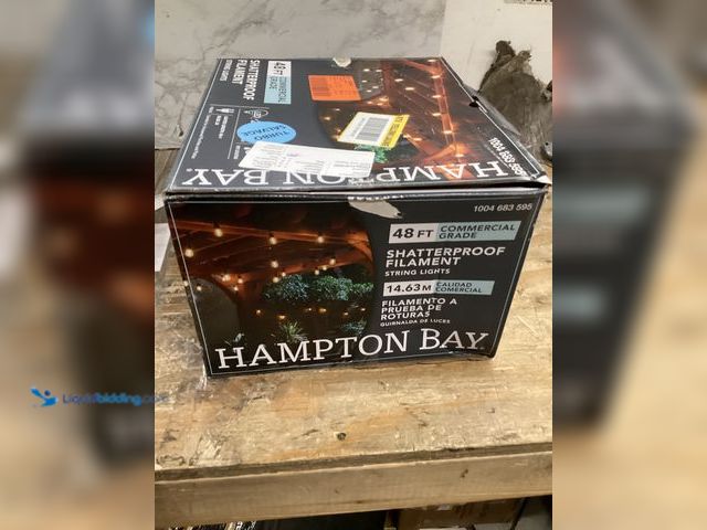 Lot 49-5411750 - Hampton Bay 24-Light 48 ft. Plug-in Indoor/Outdoor Edison Patio String Light with S14 Single Filamen...