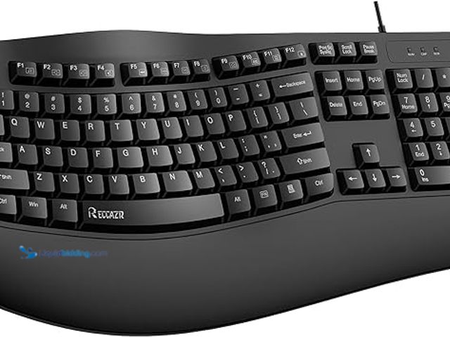 Lot 49-5448558 - RECCAZR Ergonomic Keyboard, Wired Computer USB Keyboard with Wrist Rest, Spill-Resistant, Wave Keys ...