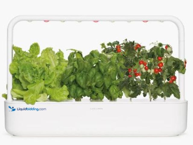 Lot 49-1539190 - Smart Garden 9 Self Watering Indoor Garden Model #5021536, Slightly Used  Ref#CRS1001