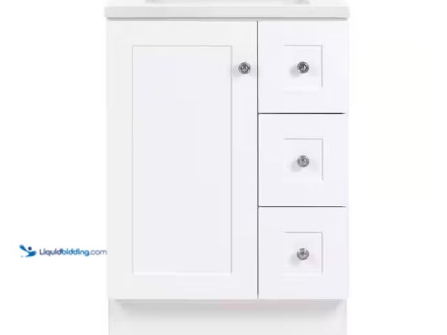 Lot 49-5573474 - Glacier Bay
Bannister 25 in. Single Sink White Bath Vanity with Granite-Look Colorpoint White Cultu...