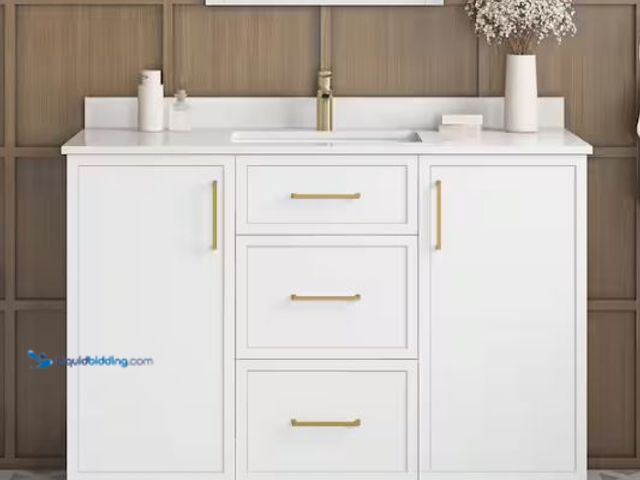 Lot 49-1549479 - Home Decorators Collection Bilston 48 in. Single Sink White Bath Vanity with White Engineered Stone ...