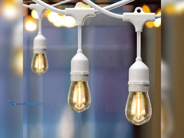 Lot 49-5416173 - Hampton Bay 12-Light 24 ft. Indoor/Outdoor Plug-In Edison Bulb String Light with S14 Single Filament...