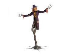 Lot 49-5439582 - undefined