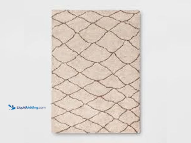 Lot 49-3528911 - 7' x 10' Threshold Organic Diamond Shag Area Rug - Unused