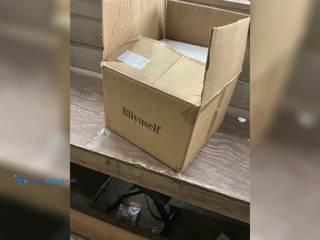 Lot 49-5477862 - Industrial Tiffany Style Flush Mount 2 Lights Ceiling Light Fixture Vintage (blue) Unused