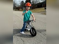 Lot 49-5475812 - undefined