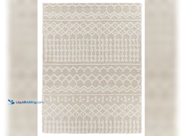 Lot 49-5514035 - Urban Shag USG-2303 Machine Crafted Area Rug Item is unused