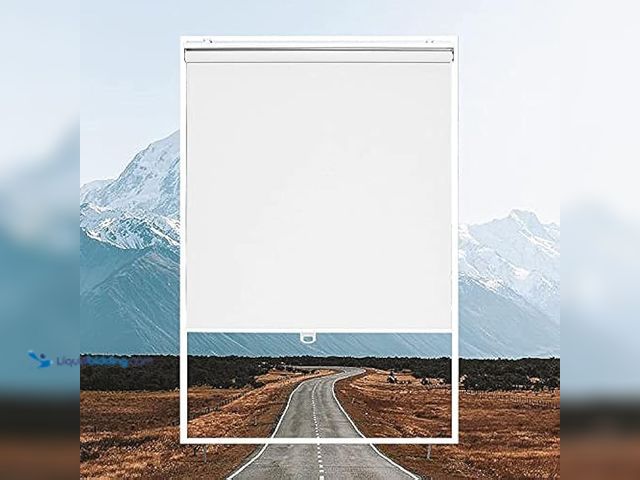 Lot 49-5414109 - Roller Window Shades Blackout Blinds for Windows Cordless Bedroom Shade Room Darkening Shades Door B...