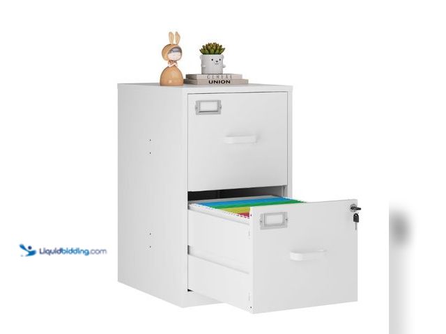 Lot 49-3480394 - STANI 2 Drawer Filing Cabinet with Lock, Metal Vertical File Storage Cabinets for Home Office, Lette...