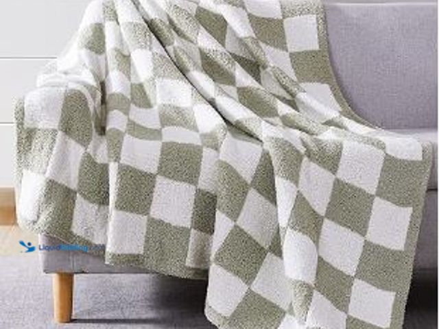 Lot 49-3464326 - WRENSONGE Checkered Throw Blanket, Sage Green Soft Cozy Fluffy Warm Hand Made Throw Blankets for Cou...