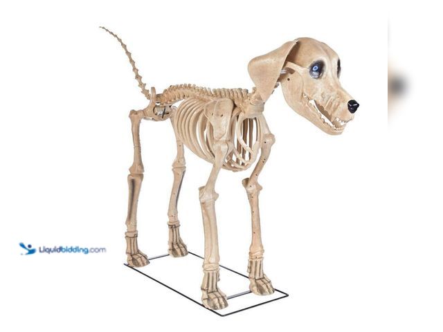Lot 49-5435860 - Home Accents Holiday
7 ft. Long Grave & Bones Skelly's Dog with LifeEyes LCD Eyes Unused