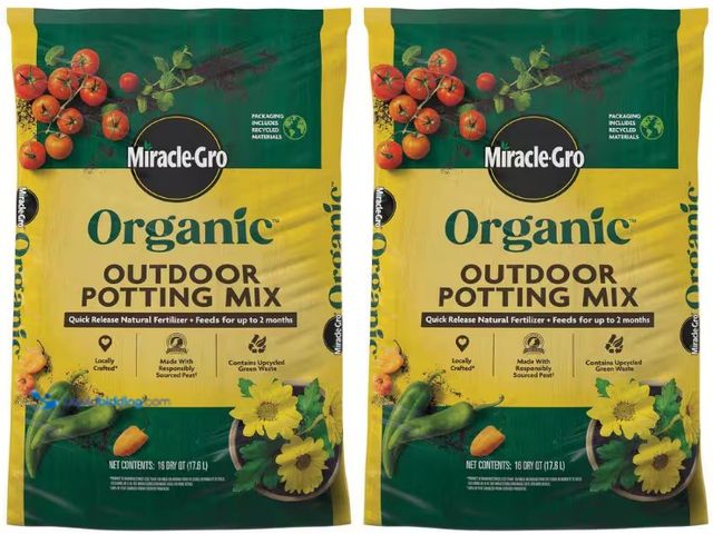 Lot 49-5552838 - Miracle-Gro
Organic Outdoor Potting Mix 16 qt. Container Soil for Outdoor Plants with Natural Ferti...