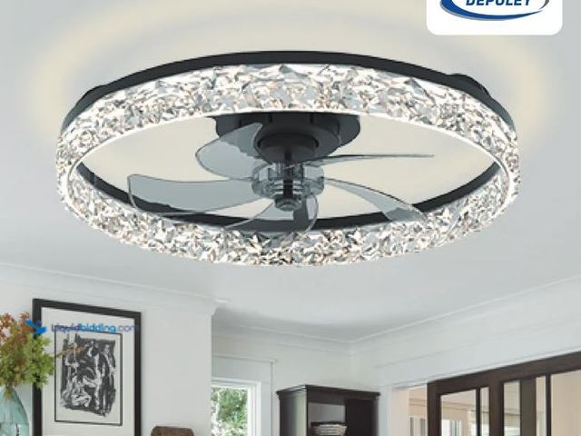 Lot 49-5573333 - WS-FPZ196 Depuley 20" Glacier LED Ceiling Fan with Light, Unused with hardware