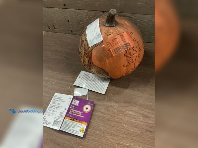Lot 49-5435971 - home accents Hlloween 10'' Jack O’Lantern Reaper light up (dusty) Unused