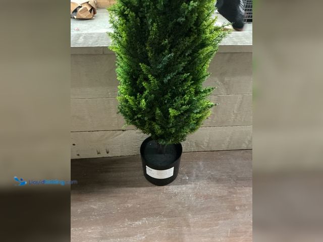 Lot 49-3527438 - 2ft artificial plant Unused