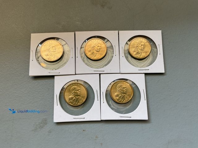 Lot 49-5341538 - LOT OF 5 SACAGAWEA GOLD (IN COLOR) 1$ COINS