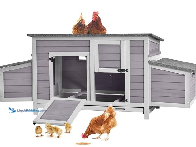 Lot 49-1555654 - Gutinneen Chicken Coop Outdoor Wooden Hen House with Nesting Box Poultry Cage with 2 Perches,2 Large...