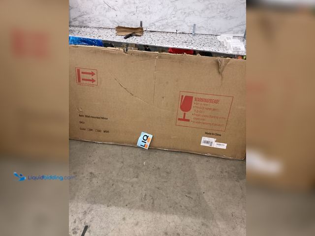 Lot 49-3532033 - FORBATH Wall Mounted Mirror 30x60 Inches with Stainless Steel Frame Item is used.