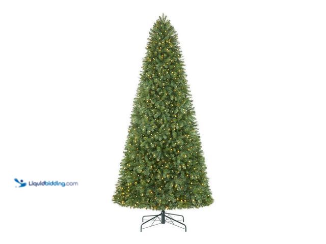 Lot 49-1544886 - Home Accents Holiday 12 ft Wesley Long Needle Pine LED Pre-Lit Tree, Model # 1011184421, Unused, Tes...