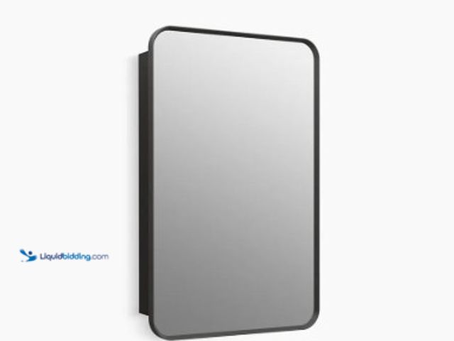 Lot 49-5410654 - 20 in. W x 28 in. H Rectangular Metal Recessed/Surface Mount Medicine Cabinet with Mirror in Black. ...