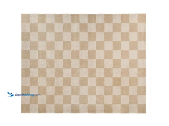 Lot 49-1627335 - StyleWell Harley Cream 6 ft. 7 in. x 9 ft. Checkered Area Rug Model # 3122141, Unused, Dirty From Sh...