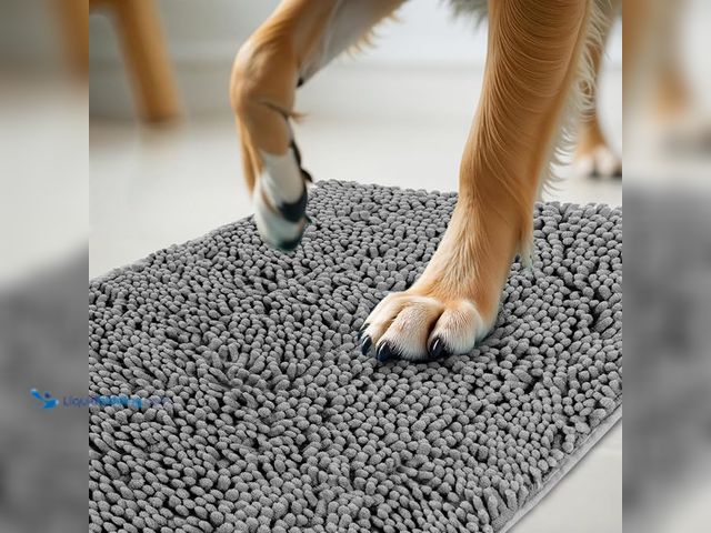 Lot 49-1627286 - Lot of (2) HITME Pet Door Mat 20x32 for Muddy Paws, Super Absorbent Microfiber Indoor Outdoor ma, No...