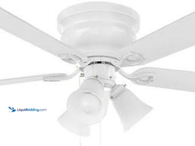 Lot 49-3564229 - Ceiling Fan with Lights Unused