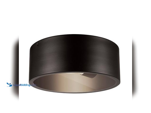 Lot 49-3564054 - Teagan 1-Light Dark Bronze Outdoor Indoor Flush Mount Ceiling Light (unable to test) Unused