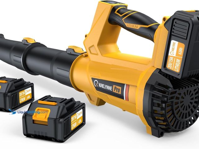 Lot 49-5546159 - Leaf Blow-er, 20V Leaf Blower Cordless with 2 X 6.0Ah Batteries and Charger Included, 540CFM 170MPH ...