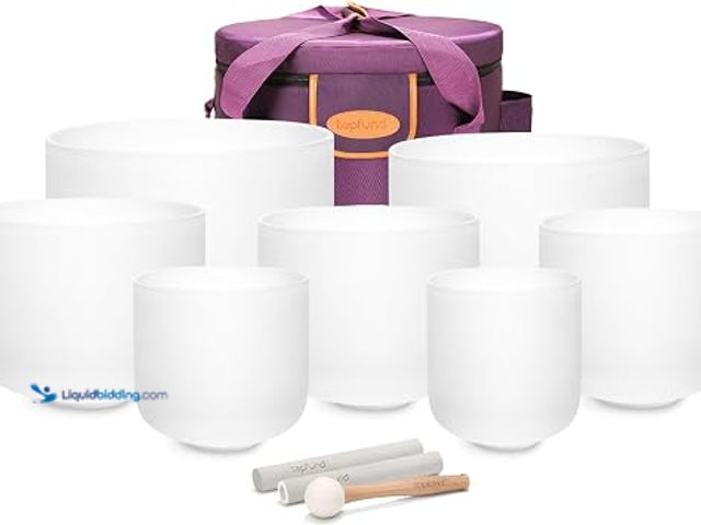 Lot 49-2025628 - TOPFUND 6-12 inch Chakra Set of 7 Crystal Singing Bowls with Heavy Duty Carrying Case and Singing Bo...
