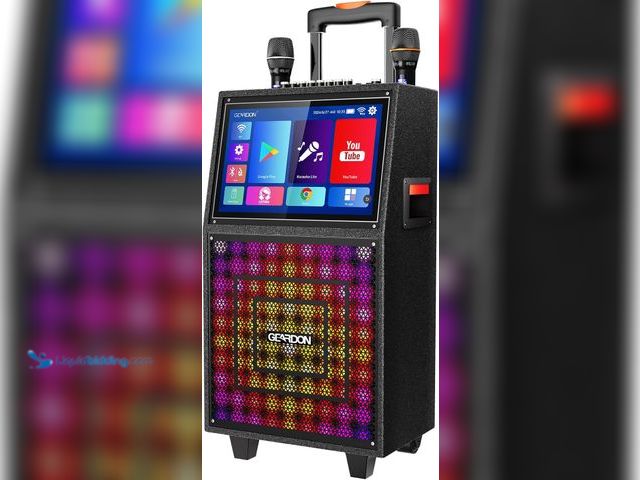 Lot 49-1541032 - GEARDON Karaoke Machine with Lyrics Display Screen for Adults, Built-in 15 Inches Tablet, Bluetooth ...