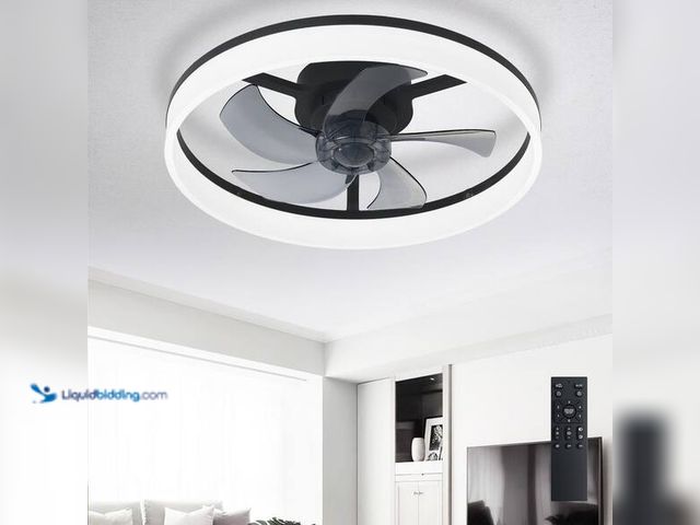 Lot 49-5545267 - Dovanpaul
20 in. Black Small Fan Flush Mount Caged Modern Ceiling Fan Light for Bedroom Indoor Incl...
