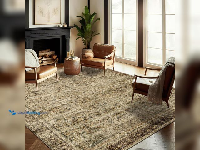 Lot 49-5447976 - Area Rug 6x9 Washable Rug Dark Brown Vintage Traditional Distressed Thin Retro Kitchen Indoor Floor ...