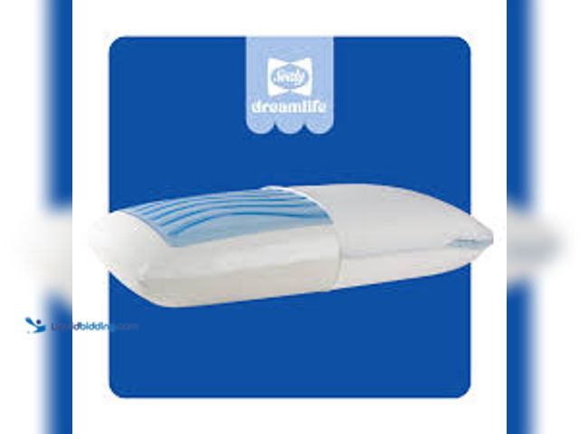 Lot 49-3540347 - Sealy Dreamlife Gel Memory Foam Standard Pillow. Model # F01-00847-ST0. Unused