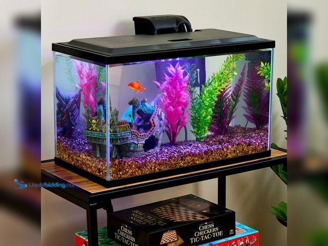 Lot 49-2022740 - Vibrant Life 10 Gallon Aquarium Starter Kit with Blue & White LED Lights, Model # 15316464908, MSRP ...