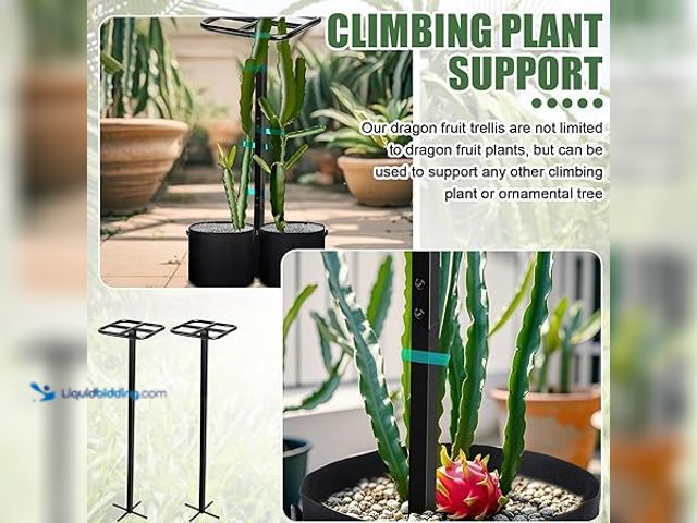 Lot 49-3528672 - 8 Pcs 12 x 48 Inch Dragon Fruit Plant Trellis with 20 Gallon Grow Bags and Wid Stretch Ties for Vert...