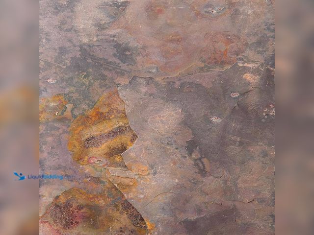 Lot 49-5413161 - EMSER TILE
Multirajah 11.89 in. x 11.89 in. Slate Floor and Wall Tile (1.0 sq. ft.) New
