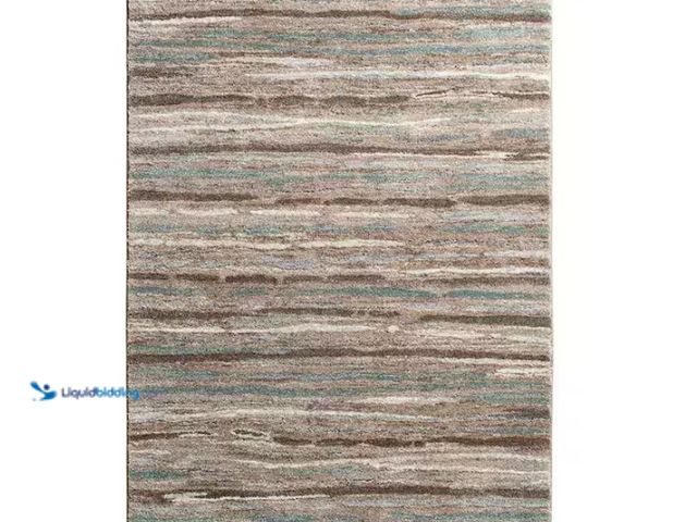 Lot 49-1628099 - Home Decorators Collection Shoreline Multi 5 ft. x 7 ft. Striped Area Rug, Model # 1203PM58HD.101, U...