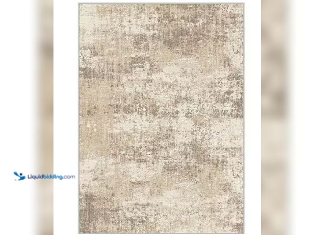 Lot 49-1631124 - Mist Gray/Beige 5 ft. x 7 ft. Modern Abstract Area Rug, Model # X23IU0041H-757, Unused.  Ref#SB0715