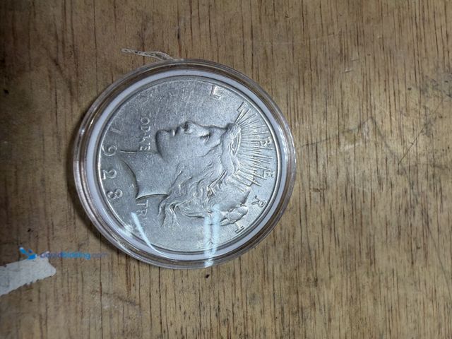 Lot 49-1910281 - 