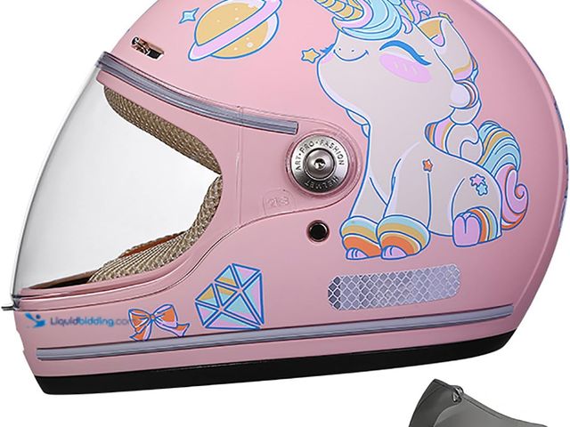 Lot 49-5488323 - Kids Full Face Motorcycle Helmet for 2-13 Years Old, Youth Child Dirt Bike ATV Go-Kart Helmets with ...