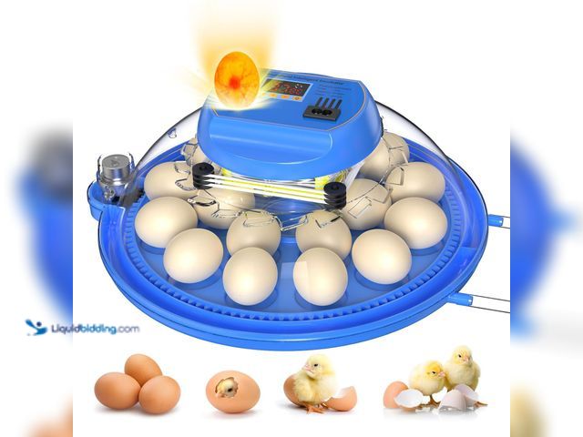 Lot 49-5437640 - 18 Egg Incubator with Auto Water Refill, LED Candler & Turner, Temperature & Humidity Control, Digit...