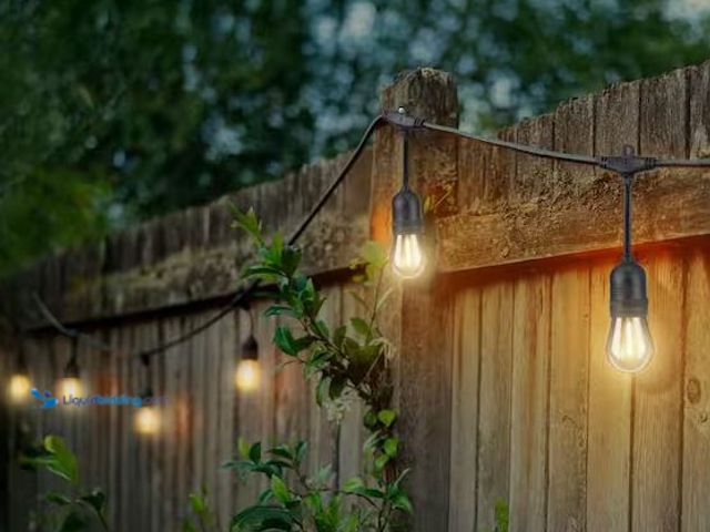 Lot 49-1630825 - Hampton Bay 24-Light 48 ft. Indoor/Outdoor Plug-In Filament LED S14 Edison Bulb String-Light, Model ...