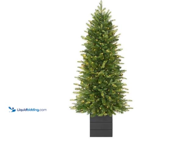 Lot 49-1572291 - Home Decorators Collection Home Decorators Collection 4ft Pre-Lit LED Grand Duchess Twinkling Balsam...