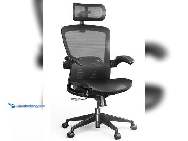 Lot 49-3473635 - FLEXISPOT OC3 Pro Ergonomic Office Chair High Back Computer Chair with Flip-up Armrest/8-Level Lumba...