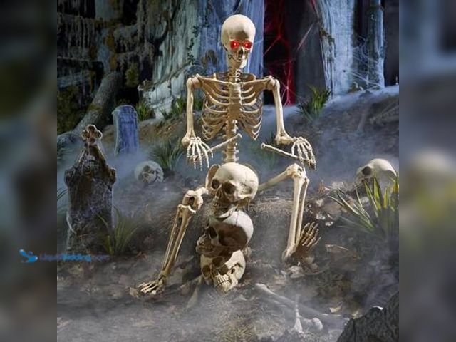 Lot 49-5572025 - Home Accents Holiday 5 FT LED Pose-N-Stay Skeleton. Model # 5349-60272HD. Unused, one hand missing