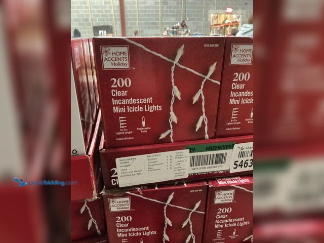 Lot 49-5463819 - Home Accents Holiday
200 Clear Incandescent Mini Icicle Lights (12packs) New