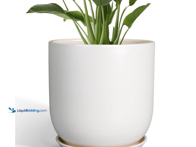 Lot 49-3430513 - SUNPOTFOR Plant Pot 12 inch - Ceramic Pot for Plants Indoor Outdoor Large Planter Pot with Drainage ...